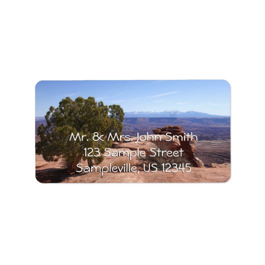 Tree Out of Red Rocks II at Canyonlands Etiket (Voorkant)