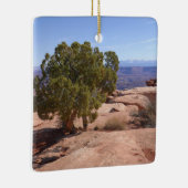 Tree Out of Red Rocks II at Canyonlands Keramisch Ornament (Rechts)