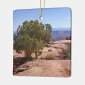 Tree Out of Red Rocks II at Canyonlands Keramisch Ornament (Links)
