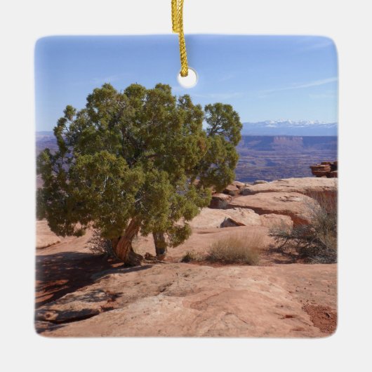 Tree Out of Red Rocks II at Canyonlands Keramisch Ornament (Voorkant)