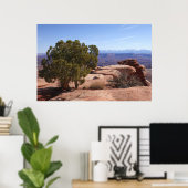 Tree Out of Red Rocks II at Canyonlands Poster (Thuiskantoor)