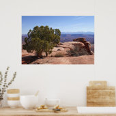 Tree Out of Red Rocks II at Canyonlands Poster (Keuken)