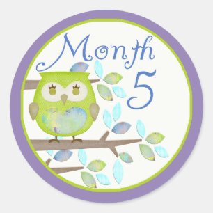 Tree Owl Milestone Month 5 Ronde Sticker