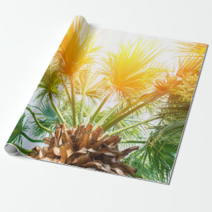 Tree palm bright sun summer background tropical p. cadeaupapier