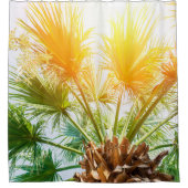 Tree palm bright sun summer background. tropical p douchegordijn (Voorkant)