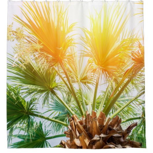 Tree palm bright sun summer background. tropical p douchegordijn (Voorkant)