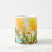 Tree palm bright sun summer background tropical p. koffiemok (Center)