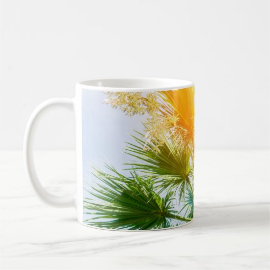Tree palm bright sun summer background tropical p. koffiemok (Links)