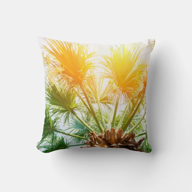 Tree palm bright sun summer background tropical p. kussen (Voorkant)