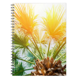 Tree palm bright sun summer background tropical p. notitieboek
