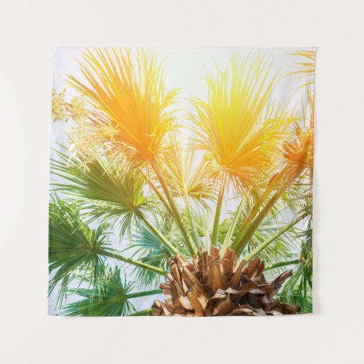 Tree palm bright sun summer background tropical p. wandkleed (Voorkant)