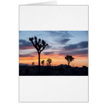 Tree Park Party Personaliseert Destiny Destiny's