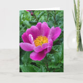 Tree Peony Blank Note Card Feestdagen Kaart (Voorkant)