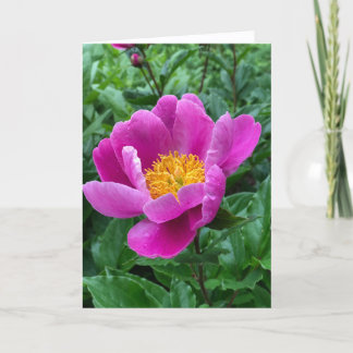 Tree Peony Blank Note Card Feestdagen Kaart