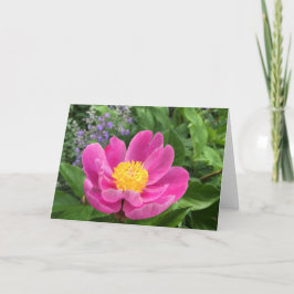Tree Peony Blank Wenskaart Bedankkaart