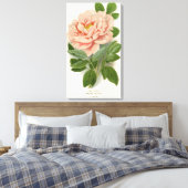 Tree Peony – Elegant  Botanisch Ontwerp Canvas Afdruk (Insitu (Slaapkamer))