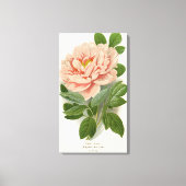 Tree Peony – Elegant  Botanisch Ontwerp Canvas Afdruk (Voorkant)