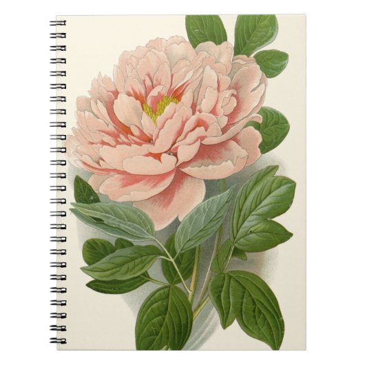 Tree Peony – Elegant  Botanisch Ontwerp Notitieboek (Voorkant)