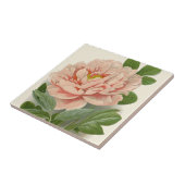 Tree Peony – Elegant Botanisch Ontwerp Tegeltje (Zijkant)