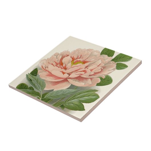 Tree Peony – Elegant Botanisch Ontwerp Tegeltje (Zijkant)
