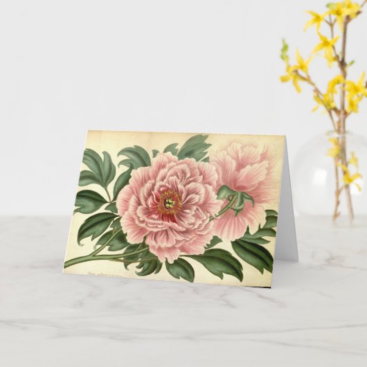 Tree Peony  Note Kaart (Gele Bloem)