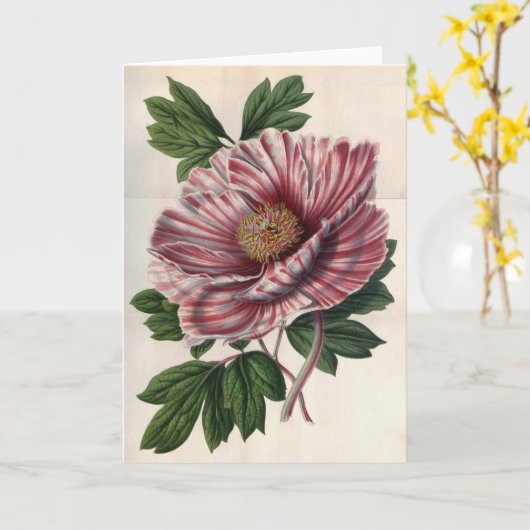 Tree Peony Note Kaart (Gele Bloem)