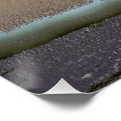 TREE PERFECT POSTER (Hoek)