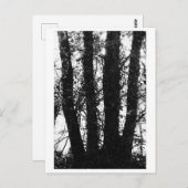 Tree Photography - Arden Briefkaart (Voorkant / Achterkant)