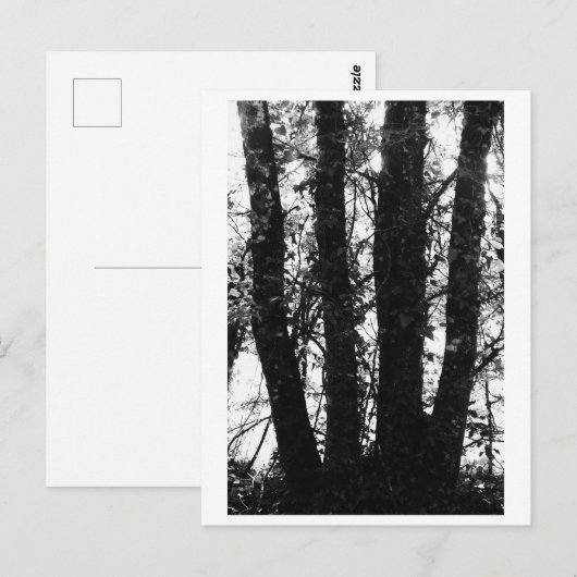 Tree Photography - Arden Briefkaart (Voorkant / Achterkant)