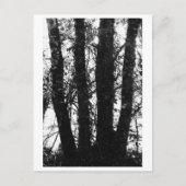 Tree Photography - Arden Briefkaart (Voorkant)