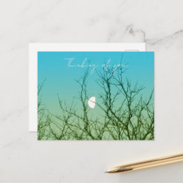 Tree Photography Briefkaart