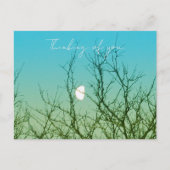 Tree Photography Briefkaart (Voorkant)