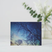 Tree Photography Briefkaart (Staand voorkant)