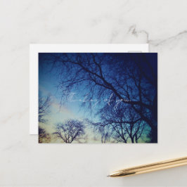 Tree Photography Briefkaart