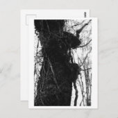 Tree Photography - Moriko Briefkaart (Voorkant / Achterkant)