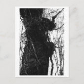 Tree Photography - Moriko Briefkaart (Voorkant)