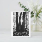 Tree photography - Oriana Briefkaart (Staand voorkant)
