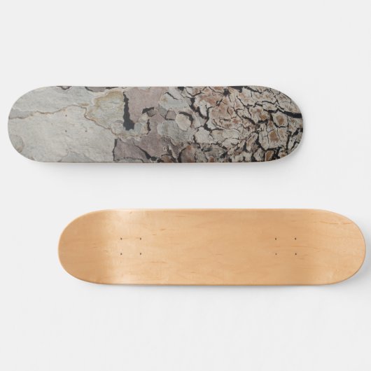 Tree Planet Four Skateboard (Horizontaal)