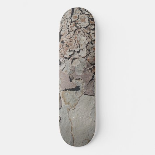 Tree Planet Four Skateboard (Voorkant)