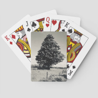 tree playing cards pokerkaarten