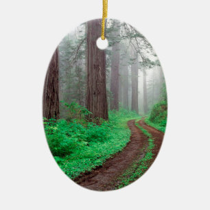 Tree Redwood California Keramisch Ornament