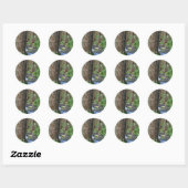 Tree Redwood Stream Ronde Sticker (Vel)