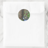 Tree Redwood Stream Ronde Sticker (Tas)