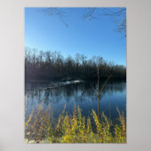 Tree Reflections Foto Poster (Voorkant)