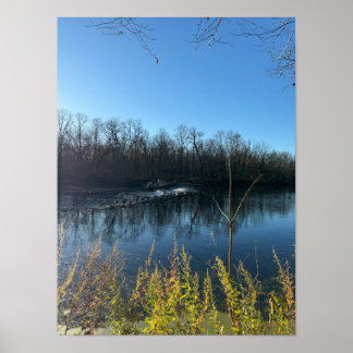 Tree Reflections Foto Poster
