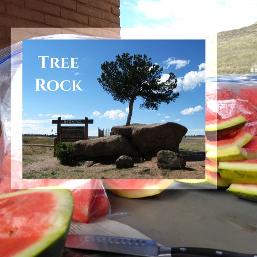 Tree Rock,Median of Interstate 80, Buford Wyoming Briefkaart