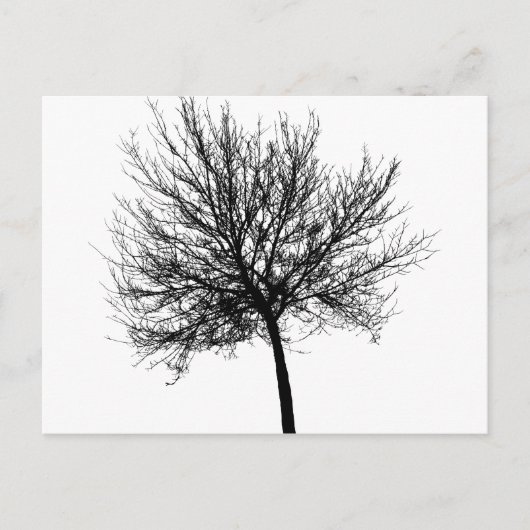 Tree Silhouette Briefkaart (Voorkant)