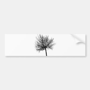 Tree Silhouette Bumpersticker