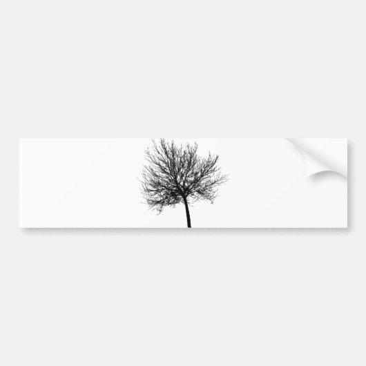 Tree Silhouette Bumpersticker (Voorkant)