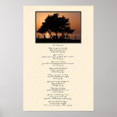 Tree Silhouette doet het in ieder geval Poster (Voorkant)